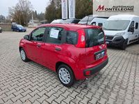 Neu Fiat Panda Icon 69 PS (50 kW) 2025 Rot Limousine