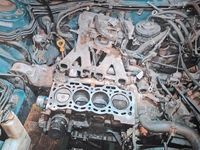 Gebraucht Toyota Starlet 75 PS (55 kW) 1991 Grün Kleinwagen