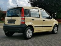 Gebraucht Fiat Panda Active 54 PS (39 kW) 2009 Gelb Kleinwagen
