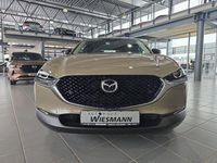 Neu Mazda CX-30 140 PS (102 kW) 2026 Braun SUV