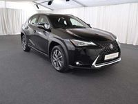 gebraucht Lexus UX 300e 300e Komfort-Paket LED/CAR-PLAY/KAMERA/17