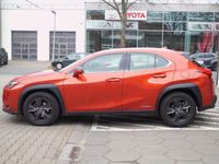 gebraucht Lexus UX 250h Launch Edition * Navigation * ACC/PCS *