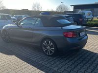 gebraucht BMW 220 i Steptronic Cab Sport Aut. ACC Klima Leder