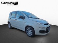 Neu Fiat Panda Icon 65 PS (47 kW) 2026 Gelato weiß Kleinwagen