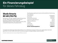 Gebraucht Skoda Octavia Style 116 PS (85 kW) 2023 Weiss Kombi