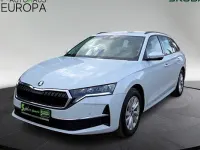 Usado Skoda Octavia Selection 150 CV (110 kW) 2025 Blanco Familiar