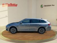 Gebraucht Skoda Octavia Tour 150 PS (110 kW) 2025 Graphitegrau metallic Kombi