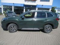 gebraucht Subaru Forester Comfort (S14/SK) (Jäger-Edition)