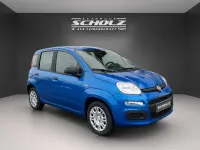 Neu Fiat Panda Icon 65 PS (47 kW) 2025 Blau Limousine