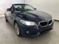 Gebraucht BMW 220 Advantage 190 PS (139 kW) 2016 Tiefseeblau met. Cabrio