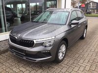 Gebraucht Skoda Kamiq Selection 116 PS (85 kW) 2024 Graphitegrau metallic (metallic) SUV