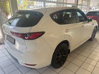 Neu Mazda CX-60 Homura-Line 254 PS (186 kW) 2025 SUV