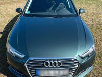 Gebraucht Audi A4 Comfort 150 PS (110 kW) 2017 Grün Kombi