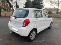 Gebraucht Suzuki Celerio 68 PS (50 kW) 2017 Weiß Kleinwagen