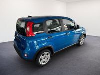 Gebraucht Fiat Panda 69 PS (50 kW) 2024 Italia blau Kleinwagen