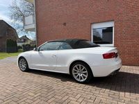 Gebraucht Audi A5 Cabriolet Ambiente 177 PS (130 kW) 2013 Weiß Cabrio