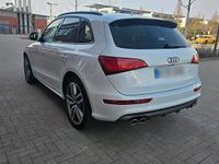 Gebraucht Audi SQ5 Design 313 PS (230 kW) 2014 Weiß SUV