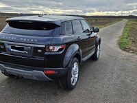 Gebraucht Land Rover Range Rover evoque Pure 150 PS (110 kW) 2013 Schwarz SUV