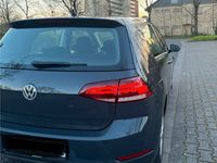 gebraucht VW Golf VII 1.0 TSI (BlueMotion Technology) Trendline