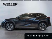 Neu Lexus UX 300h Sport Design Packet 199 PS (146 kW) 2026 Graphitschwarz SUV
