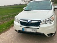 gebraucht Subaru Forester 2015 - Zuverlässigkeit auf Europas Straßen!