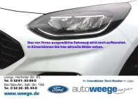 Gebraucht Ford Kuga ST-Line X 190 PS (139 kW) 2022 Weiß SUV