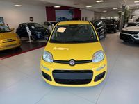 Neu Fiat Panda Icon 65 PS (47 kW) 2026 Gelb Kleinwagen