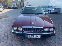 Gebraucht Jaguar XJ40 199 PS (146 kW) 1993 Rot Limousine