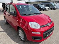 Gebraucht Fiat Panda 71 PS (52 kW) 2025 Rot Kleinwagen