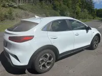 Gebraucht Kia XCeed Vision 160 PS (117 kW) 2022 Weiß SUV
