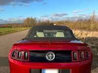 gebraucht Ford Mustang Cabrio V6 3,7 Premium