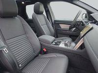 Neu Land Rover Discovery Sport SE Dynamic 163 PS (119 kW) 2025 Weiß SUV