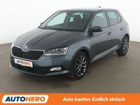 Gebraucht Skoda Fabia Soleil 75 PS (55 kW) 2019 Grau Kleinwagen