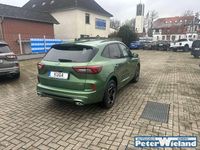 Neu Ford Kuga ST-Line 242 PS (177 kW) 2025 Bursting green SUV