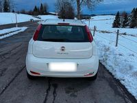 Gebraucht Fiat Punto 69 PS (50 kW) 2016 Weiß Kleinwagen