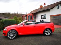 Gebraucht Audi A3 Cabriolet S-Line 160 PS (117 kW) 2010 Rot Cabrio
