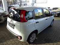 gebraucht Fiat Panda Easy -- Klimaanlage-TÜV/AU NEU--