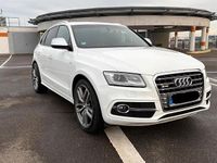 Gebraucht Audi SQ5 Design 313 PS (230 kW) 2015 Weiß SUV