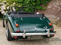 Gebraucht Austin Healey 3000 MK III 1966 Grün Cabrio