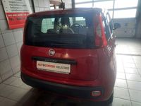 Gebraucht Fiat Panda Pop 69 PS (50 kW) 2012 Rot Kleinwagen