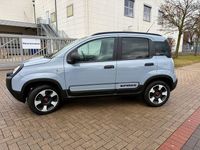 Gebraucht Fiat Panda Cross Cross 69 PS (50 kW) 2019 Grau Kleinwagen