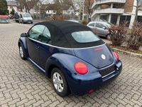 Gebraucht VW New Beetle Cabriolet 75 PS (55 kW) 2003 Blau Cabrio