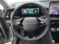 Neu Skoda Kodiaq Selection 193 PS (141 kW) 2026 Schwarzmagic perleffekt SUV