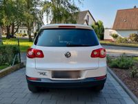 gebraucht VW Tiguan 1.4 TSI Trend & Fun Trend & Fun