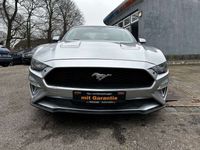 gebraucht Ford Mustang Ecoboost 2.3 FiftyFive-Years*Automatik*Klima*Rfk*