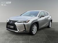 Gebraucht Lexus UX 250h 152 PS (111 kW) 2022 Silber SUV