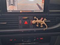 Gebraucht Audi RS6 Ambiente 560 PS (411 kW) 2015 Grau Kombi