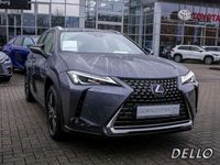 gebraucht Lexus UX 250h