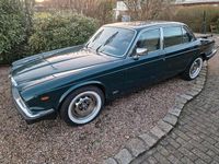 Gebraucht Jaguar XJ6 1981 Grün Limousine