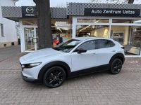 Neu Mazda CX-30 Nagisa 140 PS (102 kW) 2026 Weiß SUV